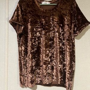 Elegant Velvet Brown Short Sleeve Top